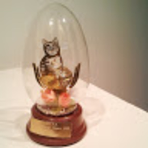 Meet your Posher, Kathleen - Picture 1 of 1